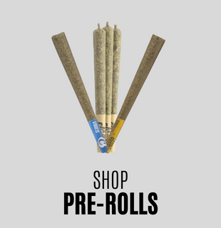 Shop Pre-Rolls