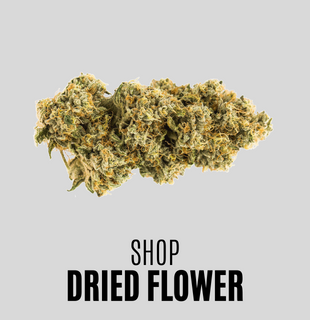 Shop Dried Flower